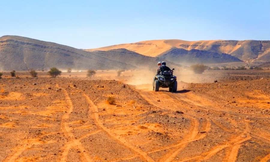 Marrakech: Dinner and Quad bike Desert Agafay Stars & show - Quad biking with a controlled pace
