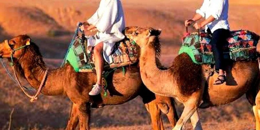 Marrakech: Dinner and Quad bike Desert Agafay Stars & show - A short camel ride with a different rhythm