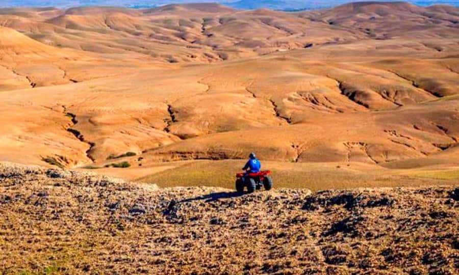 Marrakech: Dinner and Quad bike Desert Agafay Stars & show - Guides make a real difference