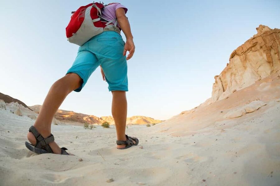 Marsa Alam Bedouin Nights: Jeep Safari, Dinner & Stargazing - A short camel ride and the Bedouin camp