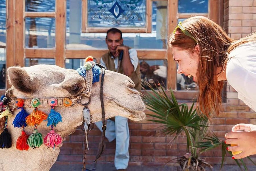 Marsa Alam Bedouin Nights: Jeep Safari, Dinner & Stargazing - Who should book this Marsa Alam night?