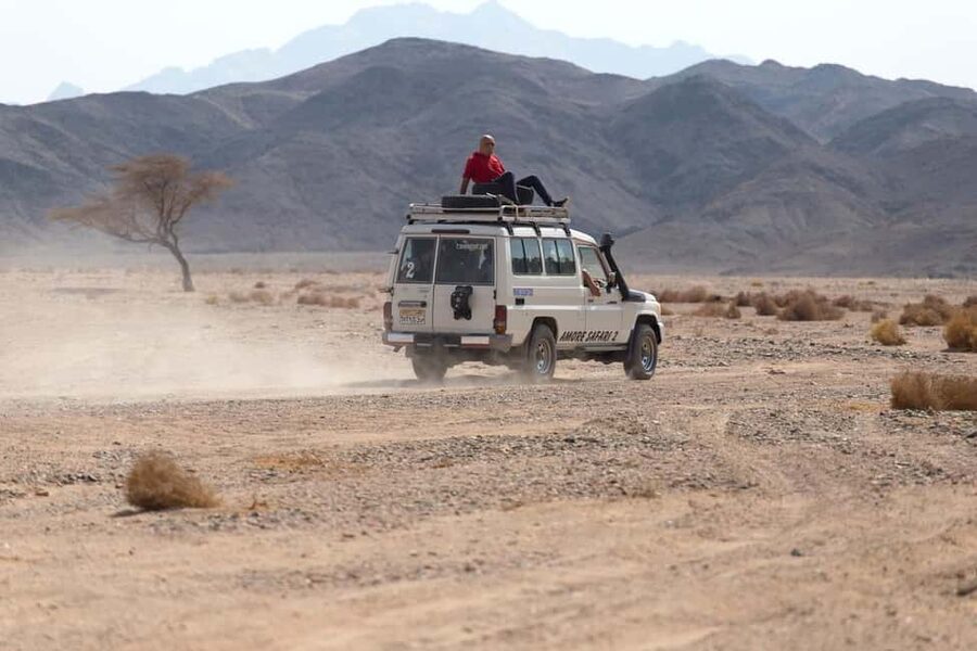 Marsa Alam Bedouin Nights: Jeep Safari, Dinner & Stargazing - Should you book the $76 experience?