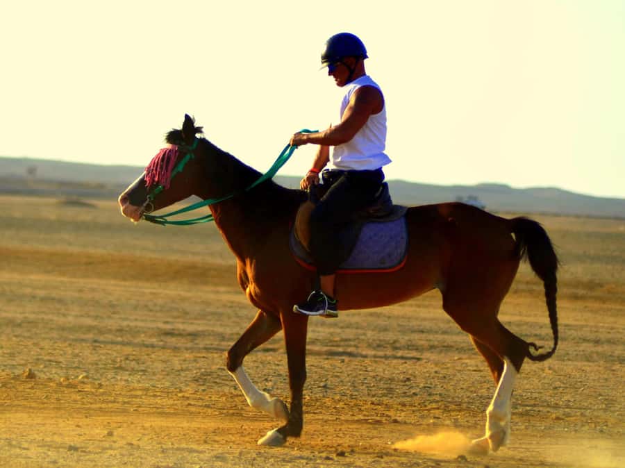 Marsa Alam: Sunset Horseback with Dinner, Show & Stargazing - Riding out as the Red Sea turns gold