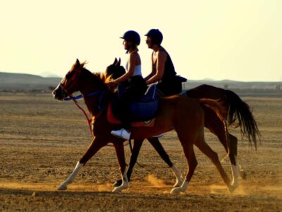Sunset Horseback with Dinner, Show & Stargazing