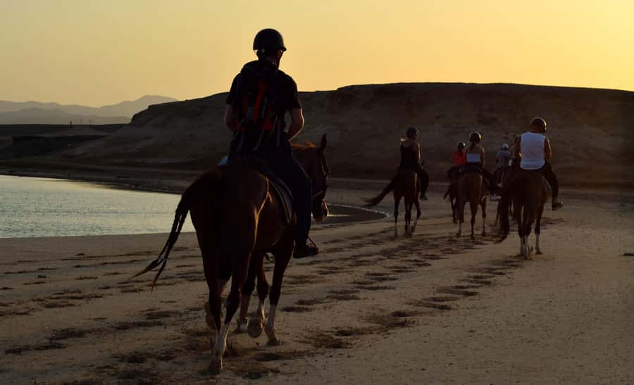 Marsa Alam: Sunset Horseback with Dinner, Show & Stargazing - Is $29 good value?