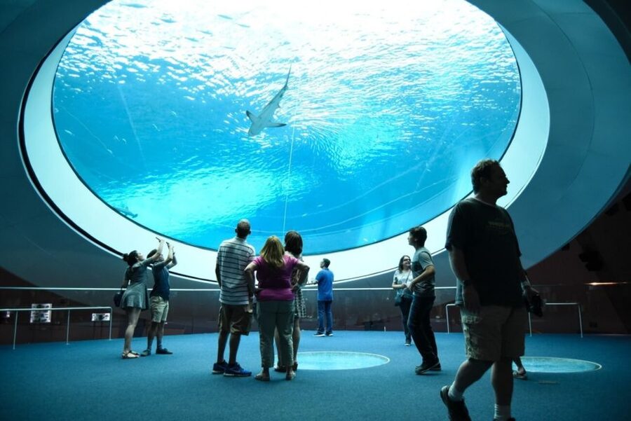 Miami: Frost Museum of Science and Planetarium Entry Ticket - Who Should Book Frost Science?