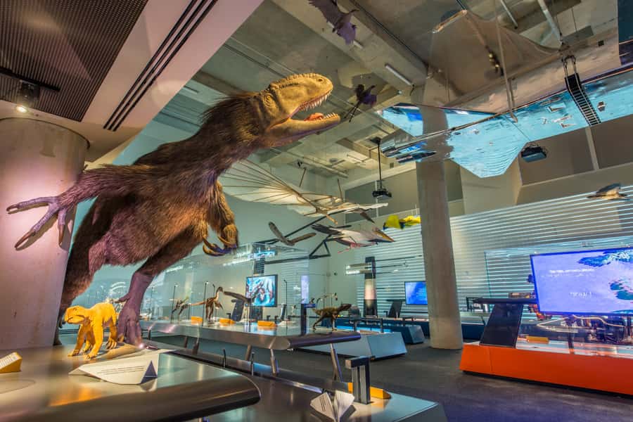 Miami: Frost Museum of Science and Planetarium Entry Ticket - Try the Hands-On Displays Instead of Just Reading