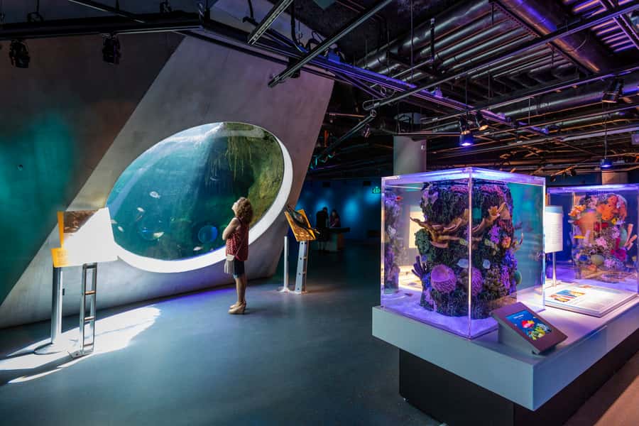 Miami: Frost Museum of Science and Planetarium Entry Ticket - Choose Your Planetarium Show Carefully
