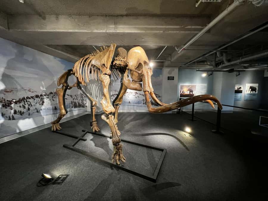 Miami: Frost Museum of Science and Planetarium Entry Ticket - What Works Best for Children and Adults