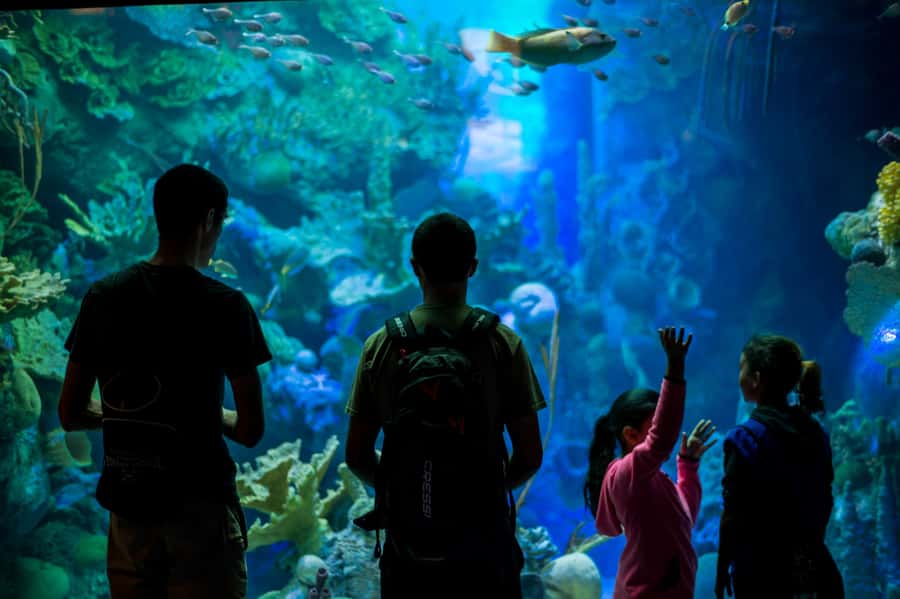 Miami: Frost Museum of Science and Planetarium Entry Ticket - Booking, Cancellation, and Arrival Tips