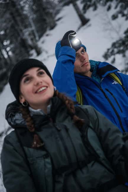 Milky Way: night snowshoe hike with a typical dinner in a mountain hut - Why This Night Walk Works So Well