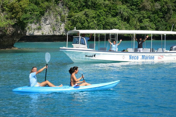 Milky Way, Shark City Island, Beach and Rock Island Tour - Why this Southern Lagoon trip works so well