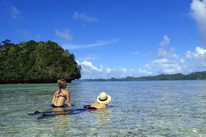 Milky Way, Shark City Island, Beach and Rock Island Tour - Jellyfish Lake: the most important extra-cost decision