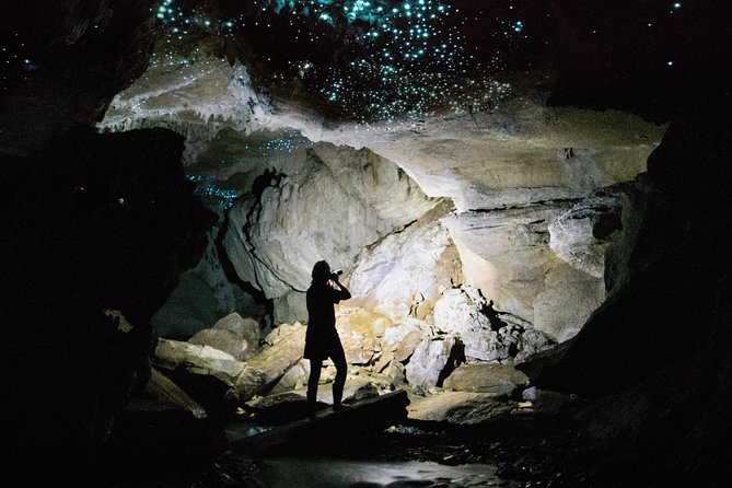 Milky Way, Shark City Island, Beach and Rock Island Tour - Ngermeaus Island and lunch by the water