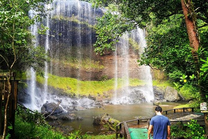 Milky Way, Shark City Island, Beach and Rock Island Tour - What the $200 price really gets you