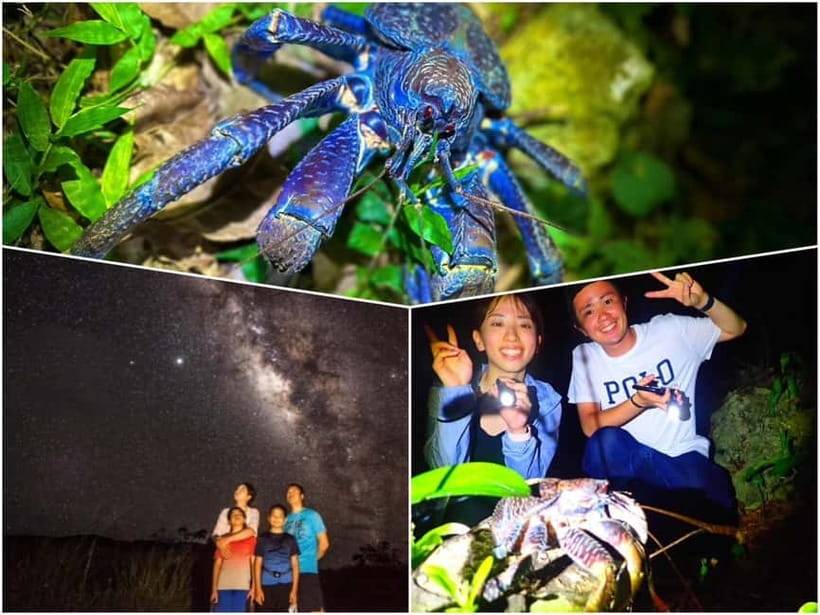 Miyako Island: Stars & Jungle Night Walking Tour - A different side of Miyakojima after sunset