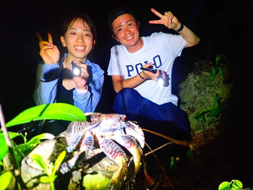 Miyako Island: Stars & Jungle Night Walking Tour - Crowds, timing, and weather