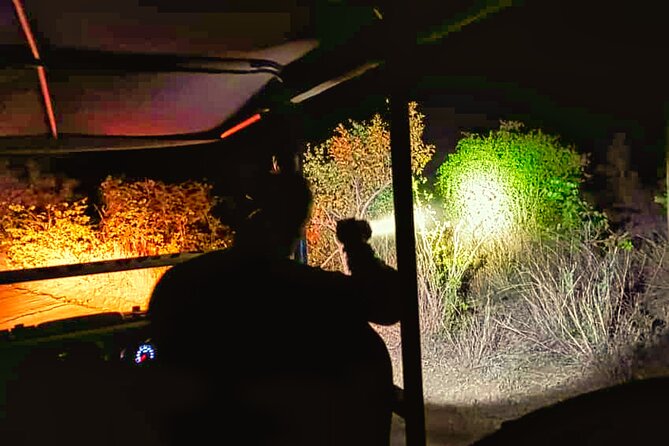 Moonlight Experience and Stargazing close to Victoria Falls - Moonlight, bush sounds, and a sense of place