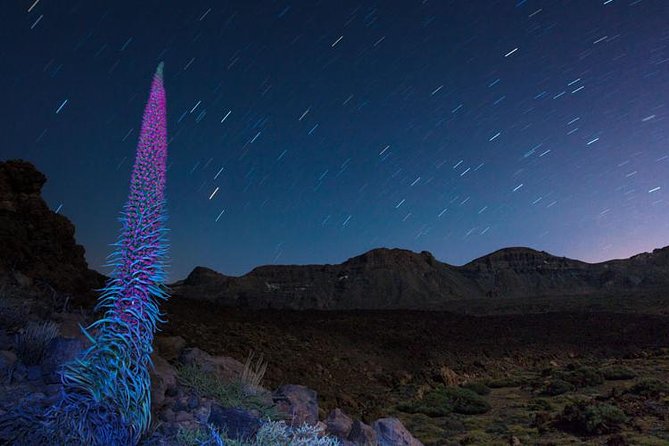 Mount Teide Night Tour: Stargazing, Dinner and Hotel Pick up - The ride up from southern Tenerife