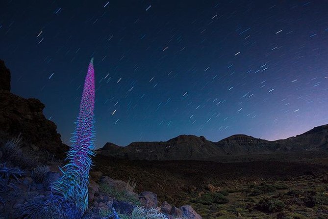 Mount Teide Night Tour: Stargazing, Dinner and Hotel Pick up - Cold weather and practical comfort