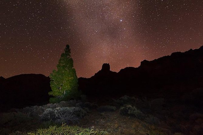 Mount Teide Night Tour: Stargazing, Dinner and Hotel Pick up - Should you book the Mount Teide night tour?