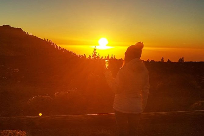 Mount Teide Stargazing with Dinner - The dinner stop: convenient, but not the star of the evening