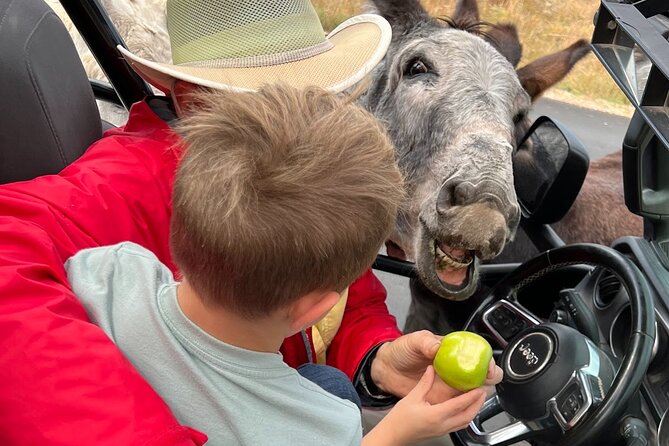 Mt Rushmore Night Ceremony and Tour - with Tunnels and Stargazing - Who will enjoy this experience most?