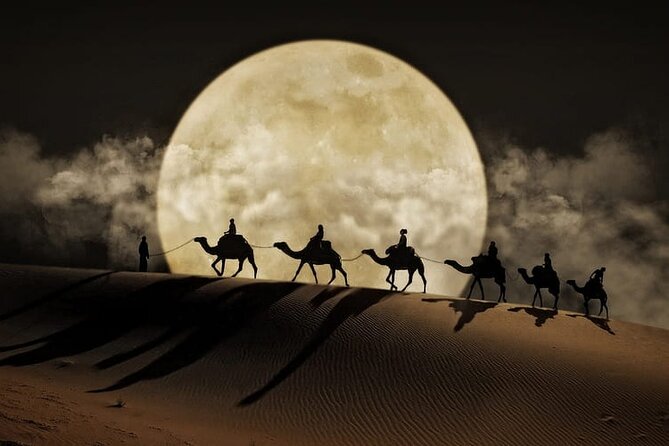 Night Desert Safari, Stargazing, Dune Driving & Inland Sea Visit - Key points to know before you go