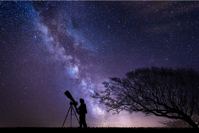 Night Sky Stargazing Tour in Punta Gorda Florida - Finding the meeting point in Punta Gorda