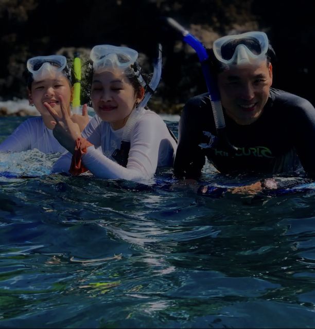 Night Time Snorkel At Turtle Town With Lights And Stars - Booking details worth checking first
