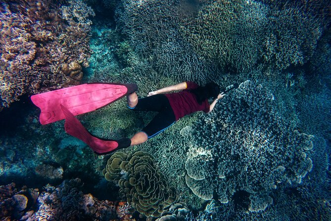 Night-Time Snorkel at TurtleTown with Stars, Lights, and Photos - Who should book this TurtleTown outing?