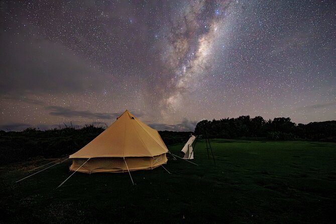 Nocturnal Wonders Tawharanui Kiwi Spotting and Stargazing Tour - The $93.09 price and what you receive