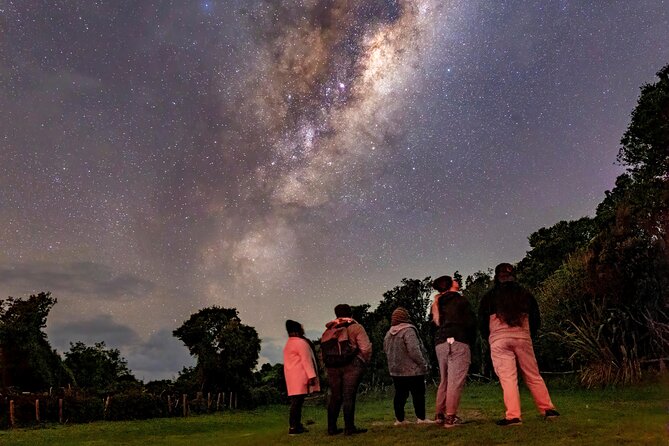Nocturnal Wonders Tawharanui Kiwi Spotting and Stargazing Tour - Optional glamping and what it does not cover