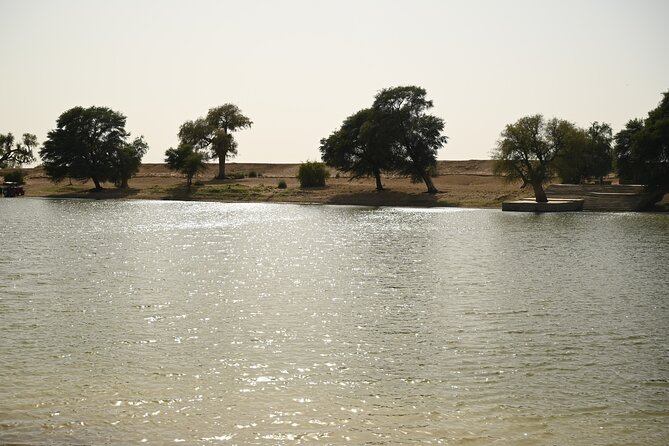 Non-Touristic Overnight Camel Safari with Stargazing Hidden Tour In Desert - The bathroom issue is not a small detail