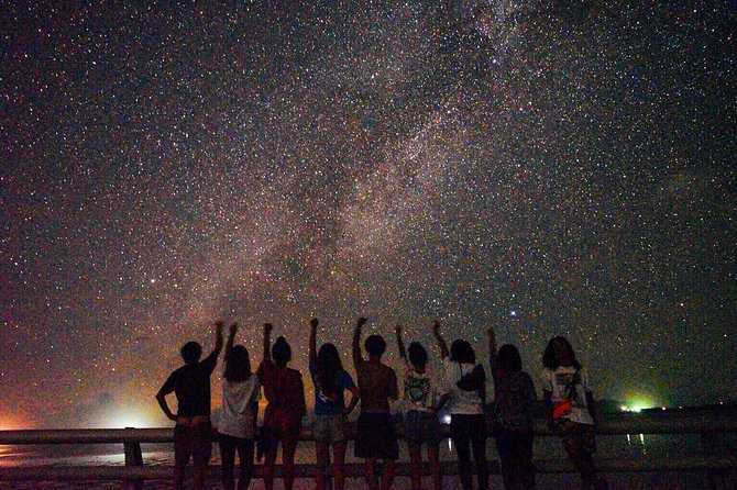 Okinawa Miyako Star Gazing & Subtropical Jungle Night Tour - A subtropical jungle after sunset