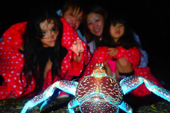 Okinawa Miyako Star Gazing & Subtropical Jungle Night Tour - What happens during the 90-minute outing