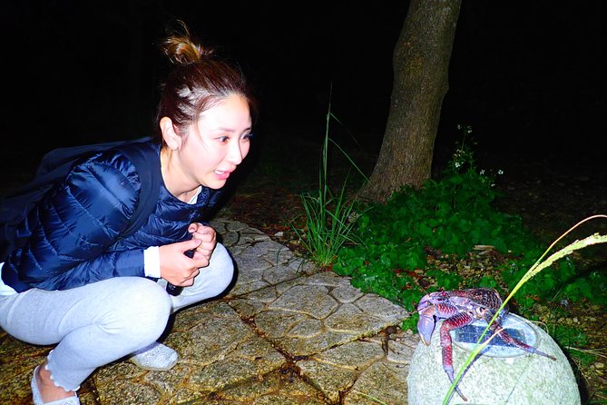 Okinawa Miyako Star Gazing & Subtropical Jungle Night Tour - Why the short length works
