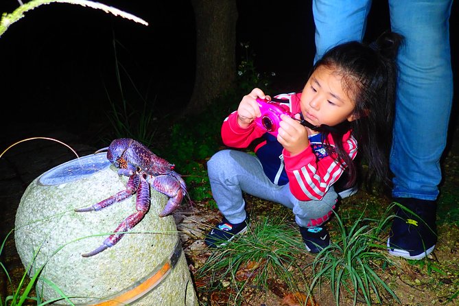 Okinawa Miyako Star Gazing & Subtropical Jungle Night Tour - The real cost of the $32.37 price