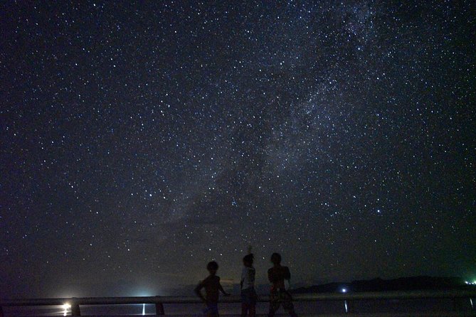Okinawa Miyako Star Gazing & Subtropical Jungle Night Tour - The stargazing is condition dependent