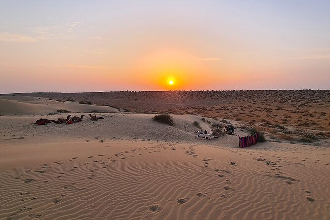 Overnight Camel Safari: Non-Touristic, Sleep Under the Stars! - Key points at a glance