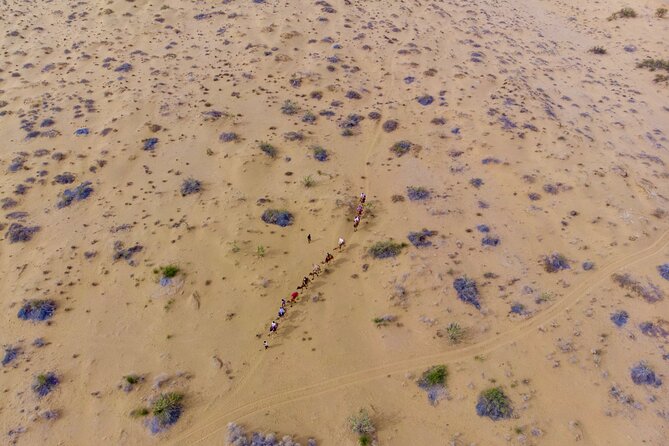Overnight Camel Safari - Sleeping under the Stars - Key points to know before booking