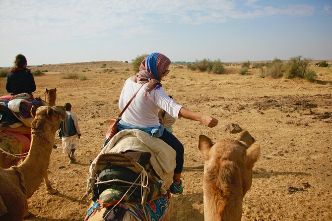 Overnight Camel Safari - Sleeping under the Stars - Khaba Fort, an oasis, and the road to the dunes