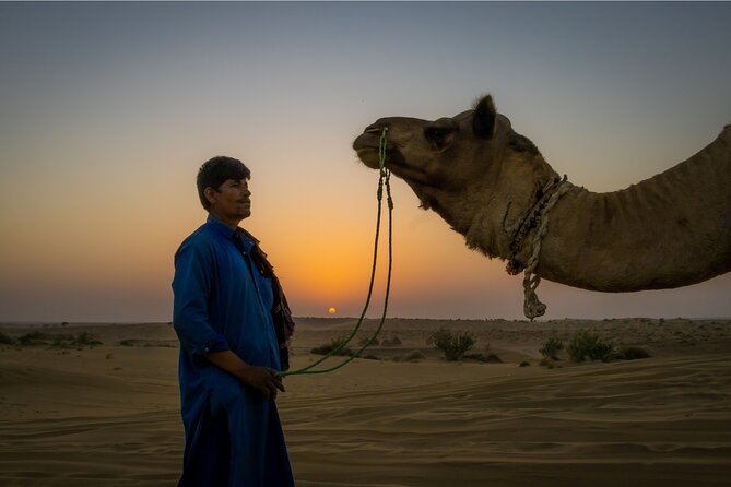 Peep's Billions of Stars Experience with Desert & Camel Safari - From Jaisalmer to the desert at 2:30 PM