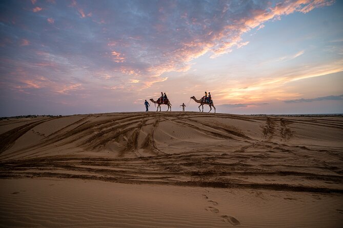 Peep's Billions of Stars Experience with Desert & Camel Safari - Who will enjoy this safari most