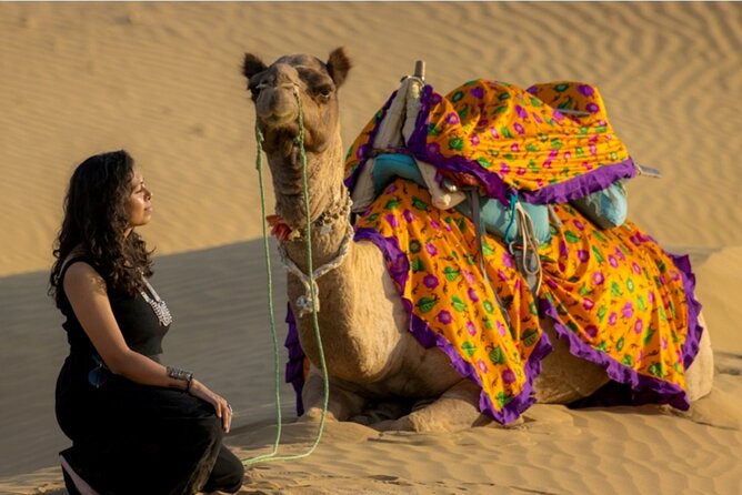 Peep's Billions of Stars Experience with Desert & Camel Safari - A 45-minute camel ride into the dunes