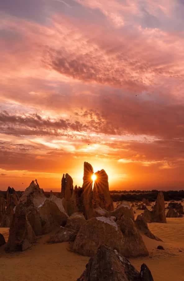 Perth: Pinnacles Desert Sunset & Stargazing with Dinner - Key points to know before booking