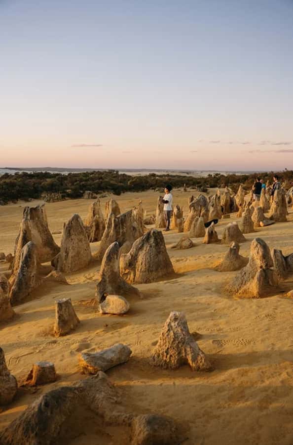 Perth: Pinnacles Desert Sunset & Stargazing with Dinner - Who should book this evening trip?