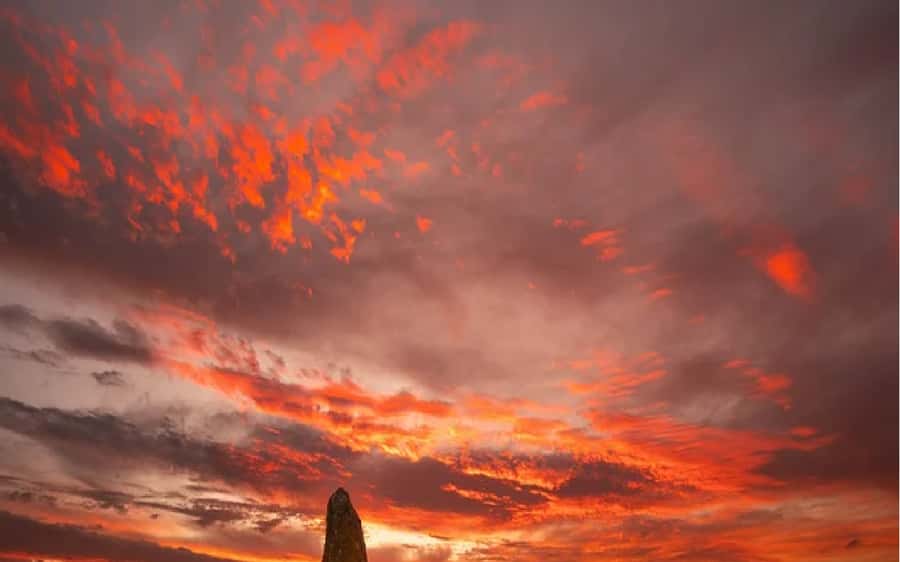 Perth: Pinnacles Desert Sunset & Stargazing with Dinner - The coastal road toward Nambung National Park