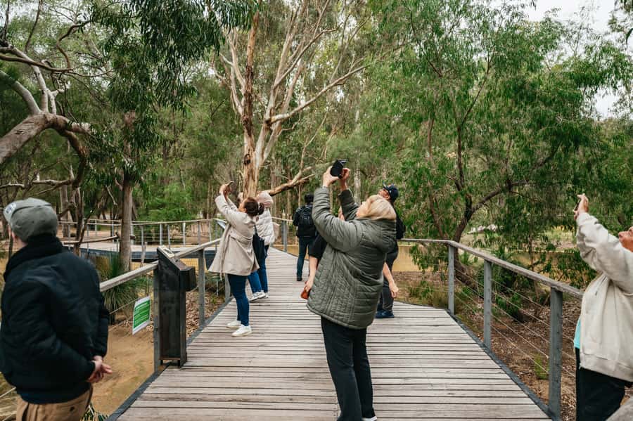 Perth: Pinnacles Desert Sunset & Stargazing with Dinner - Weather, timing, and what to pack
