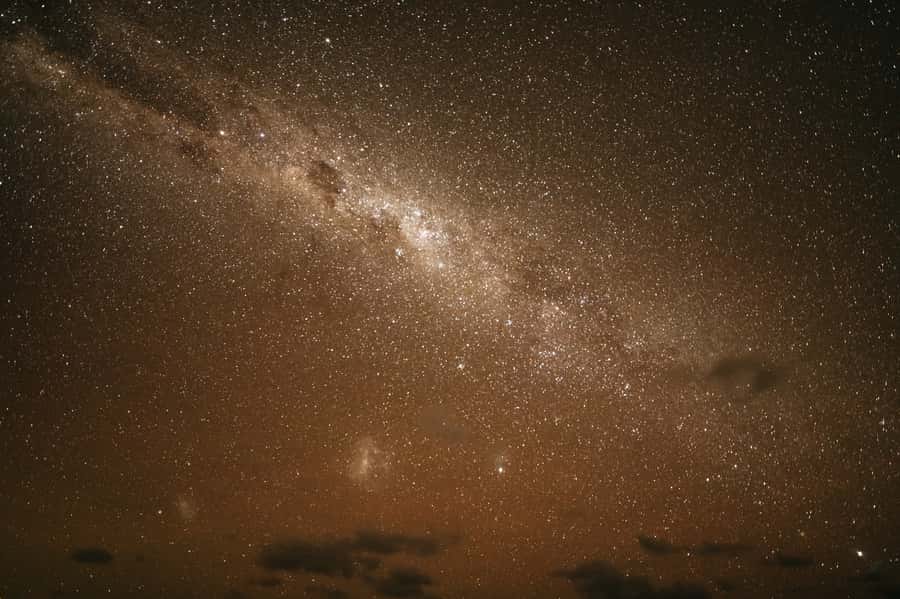 Perth: Pinnacles Desert Sunset & Stargazing with Dinner - The Yanchep stop for koalas and kangaroos